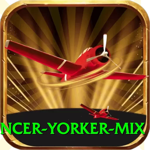 bouncer yorker mix Deluxe v1.5.8 - 2