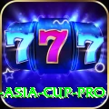 cricket asia cup - Legend v1.5.6