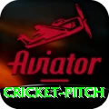cricket pitch Apps (Tools & Injectors) Plus v3.3.4