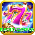 david gower VIP Pro v4.0.9