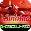 eng cricket Game Mega v5.3.3