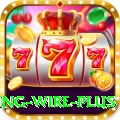 fishing wire - VIP Champion