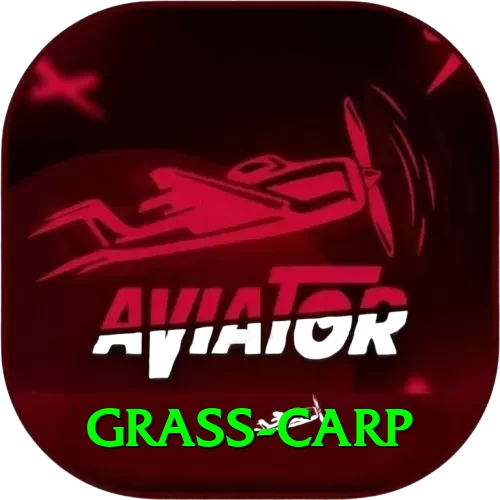 grass carp Apps (Tools & Injectors) Premium v5.2.9 - 2