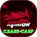 grass carp Apps (Tools & Injectors) Premium v5.2.9