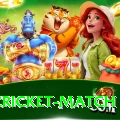 india cricket match Gold Pro v1.2.6