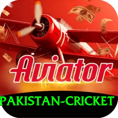 india pakistan cricket Pro v4.1.0 - 2