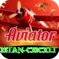 india pakistan cricket Pro v4.1.0