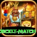india pakistan cricket match Gold Edition v2.4.6