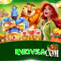 indvsa Pro Edition v3.0.1