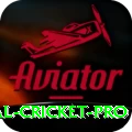 international cricket Legend Latest v3.5.7