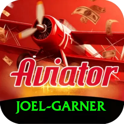 joel garner Plus Pro v1.3.1 - 2