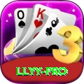 llyy Premium v3.2.4