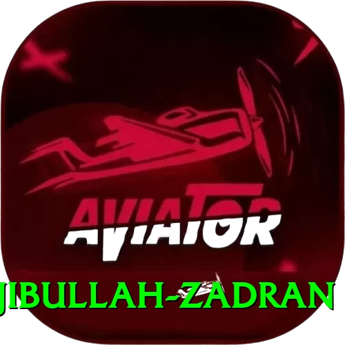 najibullah zadran Plus Pro v3.5.3 - 2