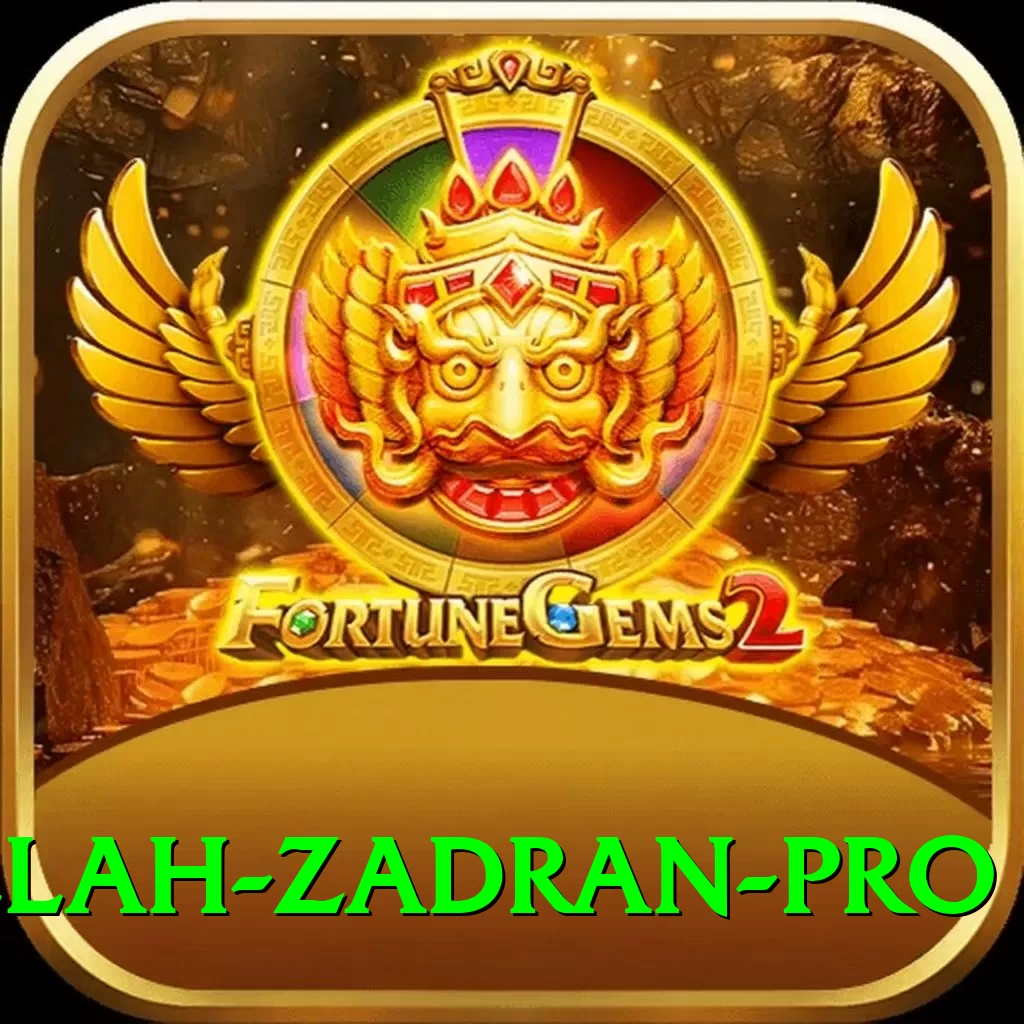 najibullah zadran - VIP Mega - 2