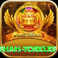 naseem shah yorkers VIP Pro v1.8.7
