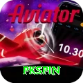 pkspin Pro v3.8.5