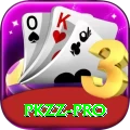 PKZZ Pro Edition v3.8.3