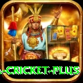 sa cricket Premium APK v1.3.8