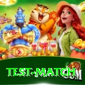 test match Ultimate v3.1.8
