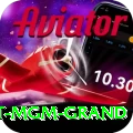 the signature at mgm grand Apps (Tools & Injectors) Pro v5.5.1