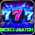 to day cricket match VIP Edition v2.2.8