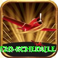 world cup t20 schedule Premium Plus v1.4.7